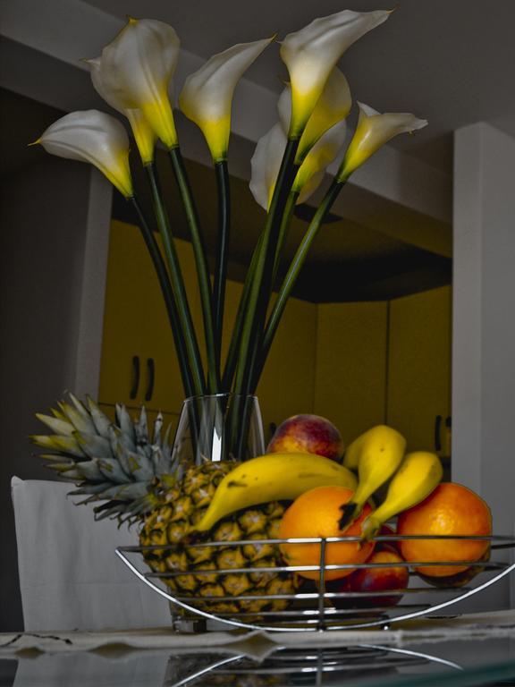 Apartment Roma Dubrovnik Værelse billede